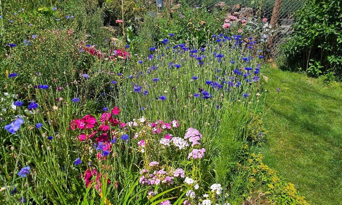 Kittredge Apartment | Near Red Rocks, Hiking & Skiing: Kittredge Condo!