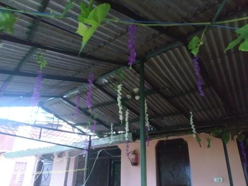 Kausani House | Neelkanth homestay