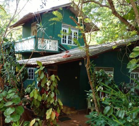 Moragaswewa House | Nethu Herbal Villa