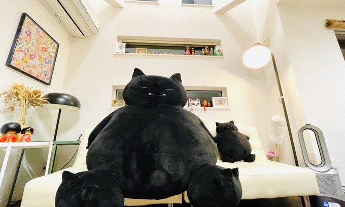 Shinjuku House | NEW! One house in Shinjuku-ku, Tokyo! Nearest station 1 min, 4 stations, within 10 min to Shinjuku station