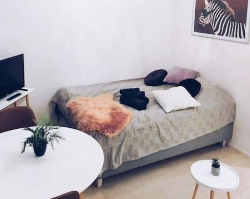 Vantaa Apartment | New Studio Zebra near Airport