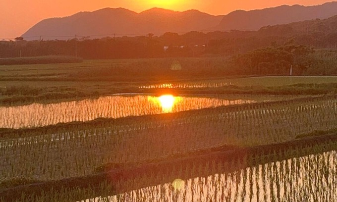 Tateyama House | New tatami mats in the living room and bedroom/Tateyama Chiba