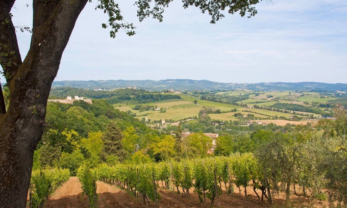 Castel San Gimignano Apartment | Nice apartment in Castel San Gimignano