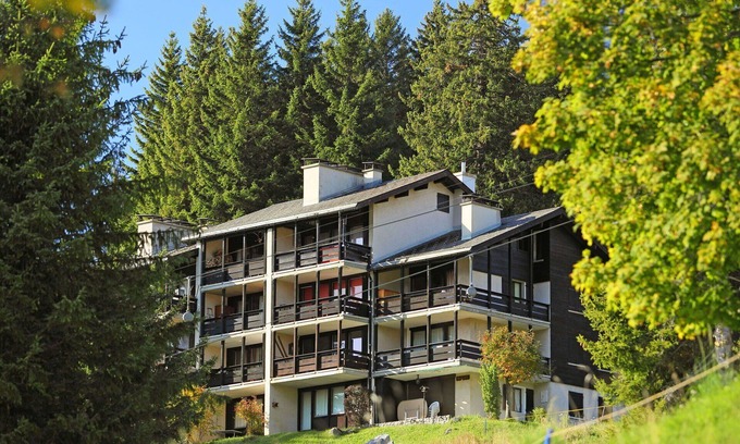Gryon Apartment | Nice apartment for 4 people with WIFI, TV, balcony and pets allowed
