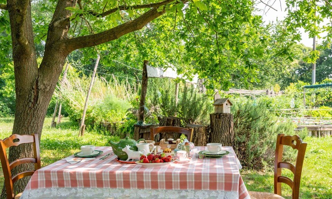 Cortiglione Apartment | Nice apartment for 3 guests with WIFI, TV, terrace and pets allowed