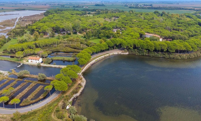 Aquileia House | Nice apartment in villa for 6 guests with pool, A/C, WIFI, terrace, pets allowed and parking