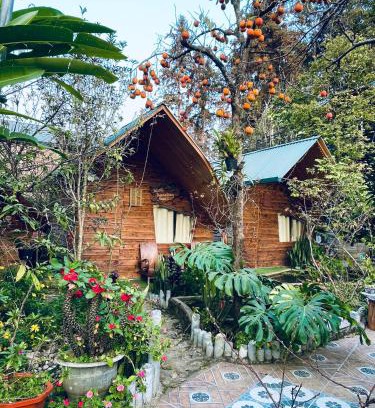 Bac Ha House | Nobita Homestay bắc hà
