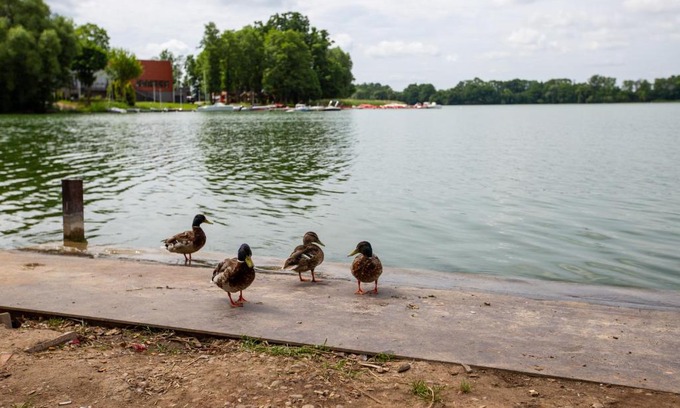 Elk Apartment | noclegi u zabki