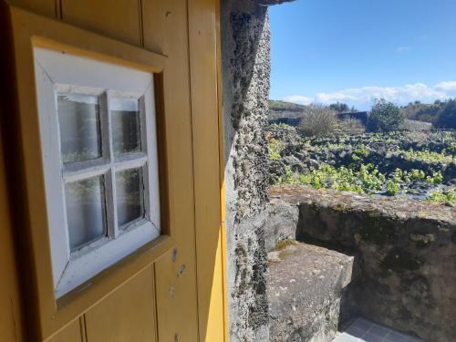 Sao Miguel do Rio Torto House | O Pomar do Gasparinho