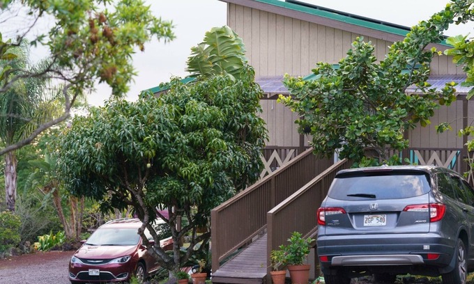 Ocean View Apartment | Ocean View /The Starfish - Just finished major renovations to the property