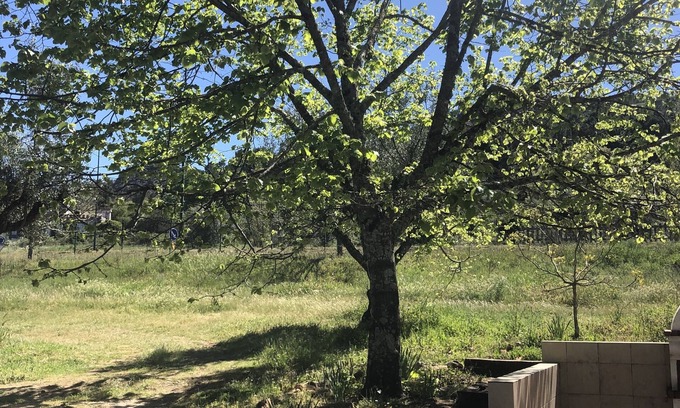 Santa Maria da Devesa Other | Ola Linda - Casa de Campo - rustica