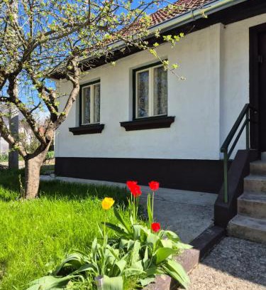 Donja Stubica House | Old house by the stream