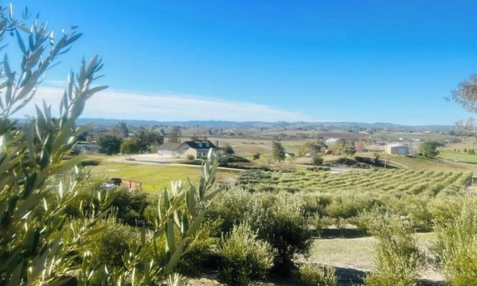 Paso Robles House | Olive Ranch Gem with Views!
