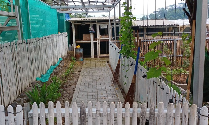 Pancawati House | OMAHKAYU