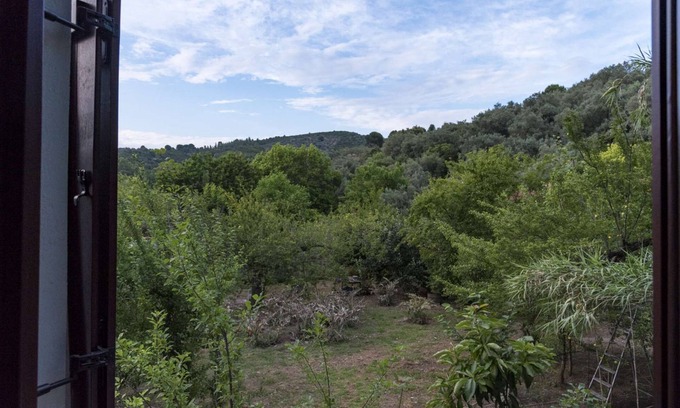 Platania Apartment | One Bedroom Apartment - Harmony House - Platanias Pelion # F up floor