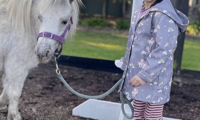 Tyabb Cottage | One of a kind - FarmStay 'Maple Cottage' on Melbournes' Mornington Peninsula