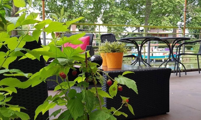 Cote Pavee Bed & Breakfast | Péniche Amboise Maison d'hôtes Toulouse