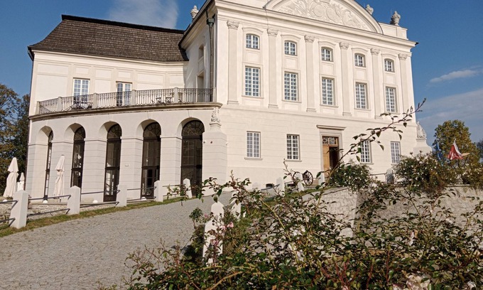 Staszow Other | Pałac w Kurozwękach