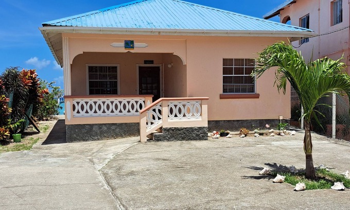 Hillsborough House | PalmVille - Charming 2-bedroom house with AC, WiFi