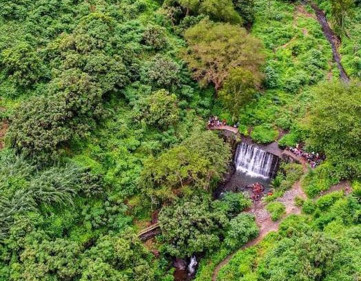 Santiago Apartment | Pam de Terra