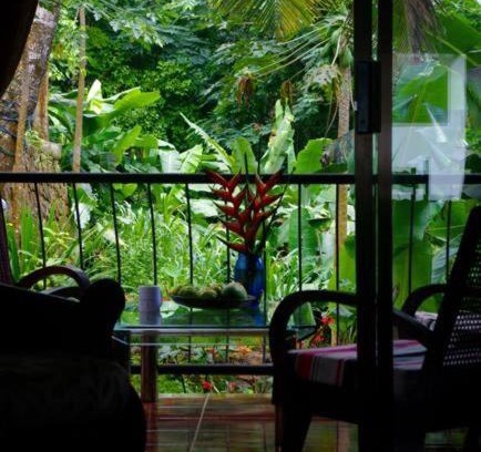 Mahe Island House | PAPAYAS SELF catering ROOM