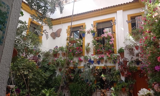 San Lorenzo House | PATIO POZANCO