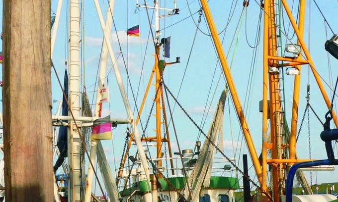 Osteel Apartment | Peace and relaxation in healthy North Sea air - family-friendly - Fewo MARINA