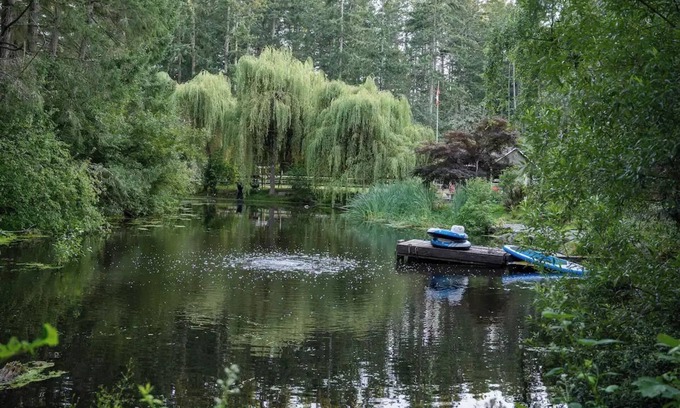 North Saanich House | Peaceful 1 BR Hideaway on 1 Acre w/Pond, Near Ferry, Airport & Nature