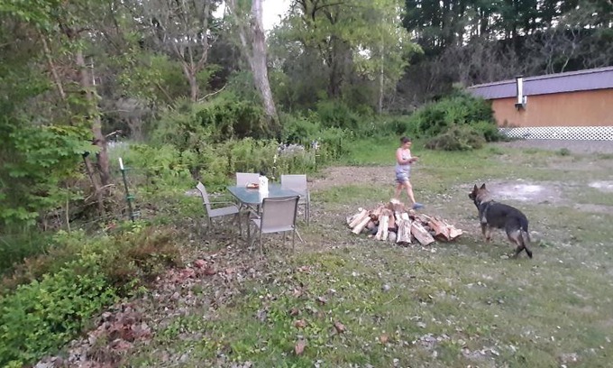 Town of Burns Other | Peaceful Farmstead Cabin on Private Pond