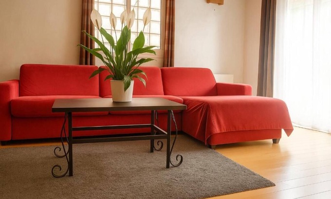 Aulnay-sous-Bois House | Peaceful heaven near Paris