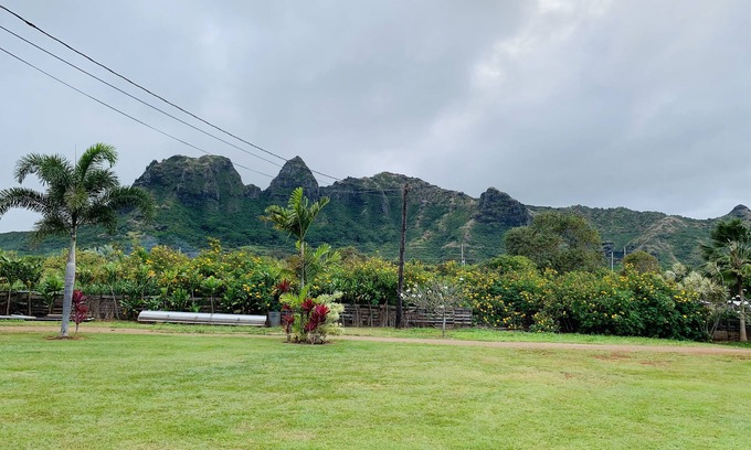 Anahola House | Peaceful Paradise