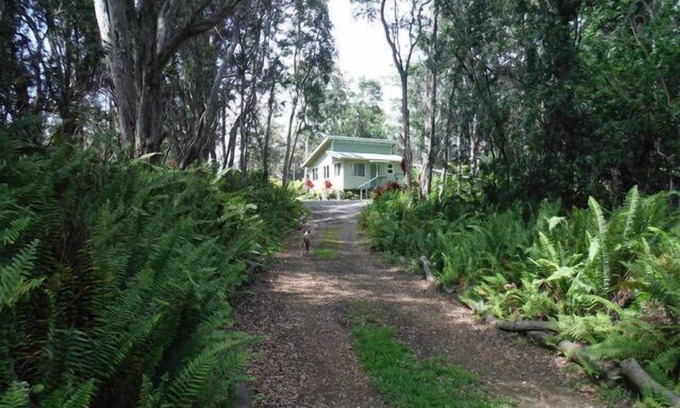 Naalehu Cabin | Peaceful Private Getaway In The Forest