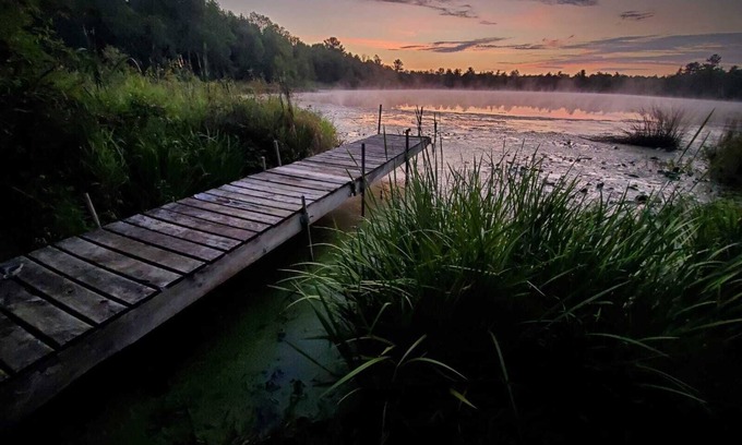 Ingalls Cabin | Peaceful Wooded Retreat on Lake Ann