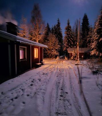 Kemijarvi Apartment | Peacfull cottage in middle of forest