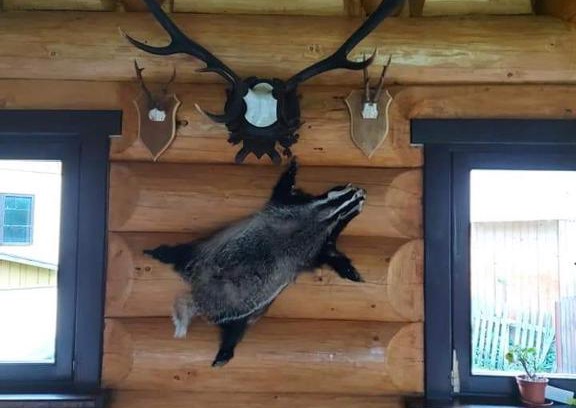 Moldovita House | Pensiunea Argela