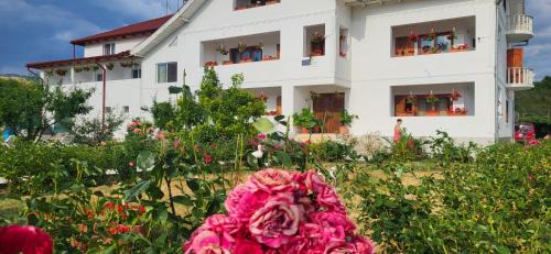 Novaci House | Pensiunea Ela Novaci