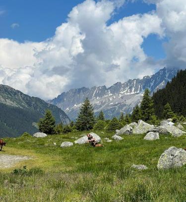 Erstfeld Apartment | Penthouse with incredible view