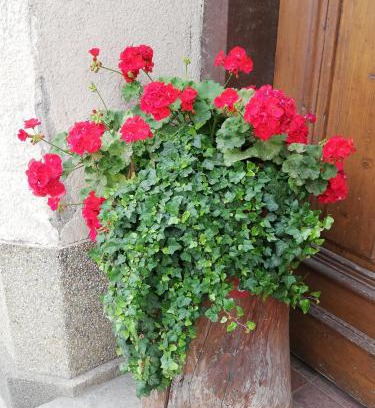 Lovrenc na Pohorju Bed & Breakfast | PENZIJON URBANC