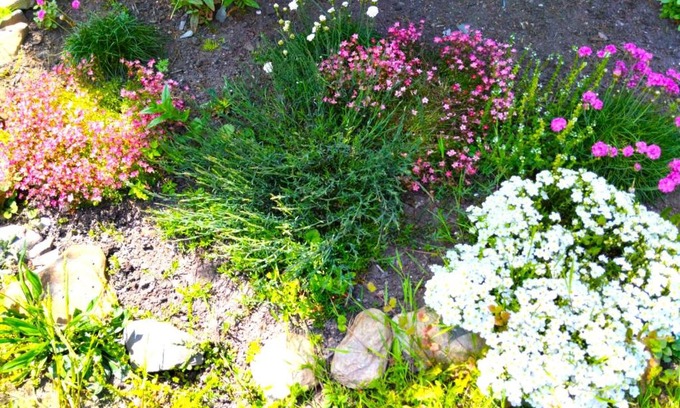 Chribska House | Penzion U kozy