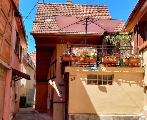 Obernai House | Petit nied Cosy au Calme