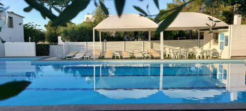 Alberobello Apartment | Pets under the Sun