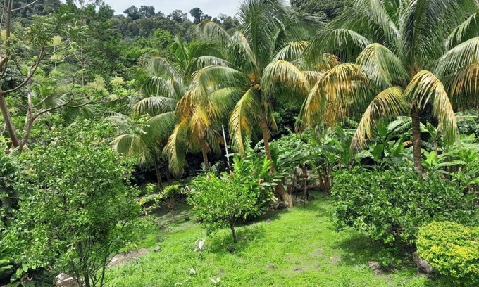 Pointe Michel Resort | Pinard's Mountain Resort - Cottage 5