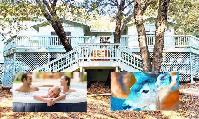 Julian Villa | Pine Hills Cabin in Julian