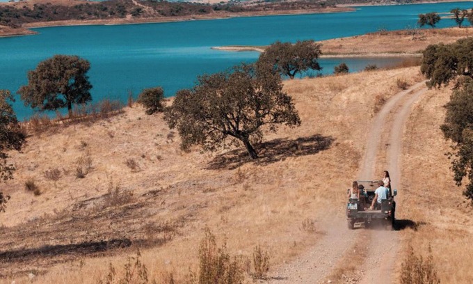 Moura House | Pink Room