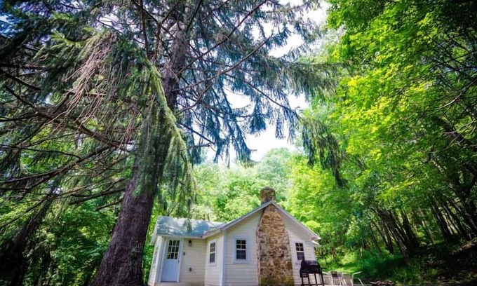 Ohiopyle Cabin | Place in the Pines | 1BR,1BA,Hot Tub,Fireplace