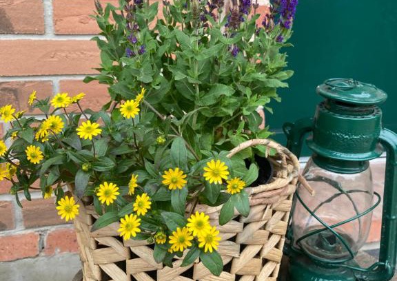 gmina Grabow nad Prosna Apartment | Pod jednym dachem