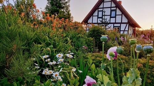 Charbrowo House | Podroże Chëcz