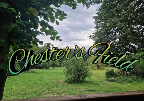 gmina Kampinos Other | Pole Namiotowe Chester's Field campsite It's GENIUS!