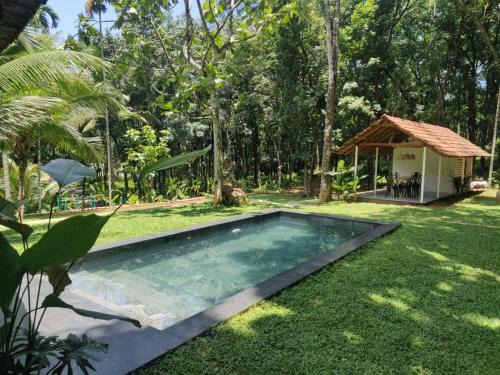 Pala Villa | Pool Villa - The Humming Trees, Pala