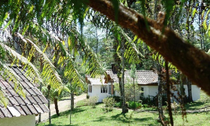 Purulha Hotel | Posada Montaña del Quetzal